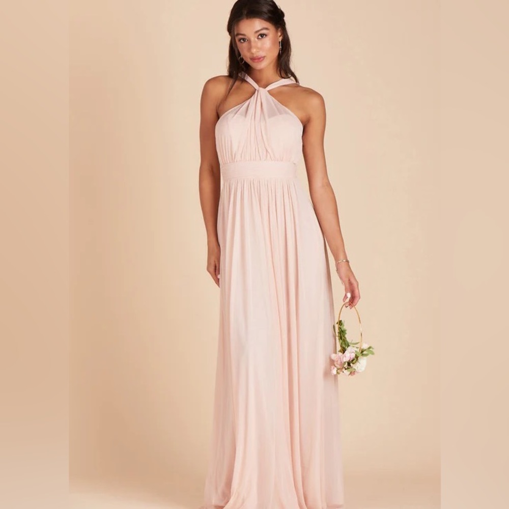 NWT Birdy Grey Dress KIKO DRESS CHIFFON PALE BLUSH Small Formal Wedding - Picture 10 of 10